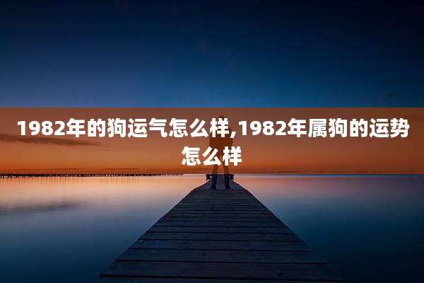 1982年的狗运气怎么样,1982年属狗的运势怎么样
