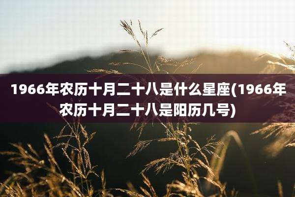 1966年农历十月二十八是什么星座(1966年农历十月二十八是阳历几号)