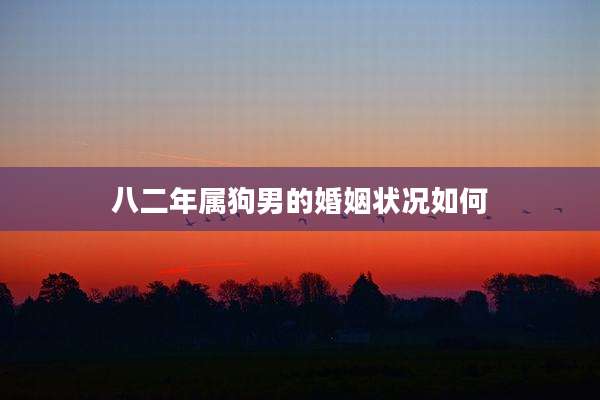 八二年属狗男的婚姻状况如何