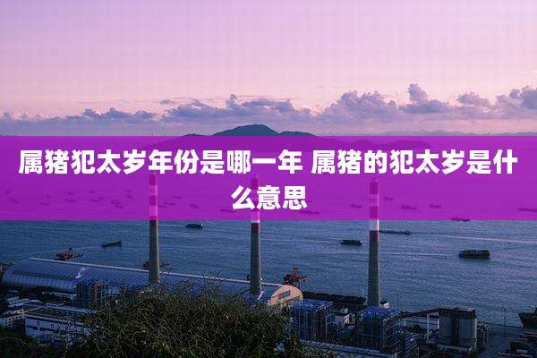 属猪犯太岁年份是哪一年 属猪的犯太岁是什么意思
