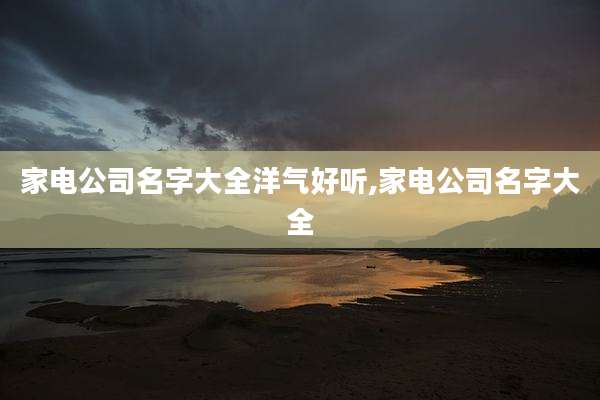 家电公司名字大全洋气好听,家电公司名字大全