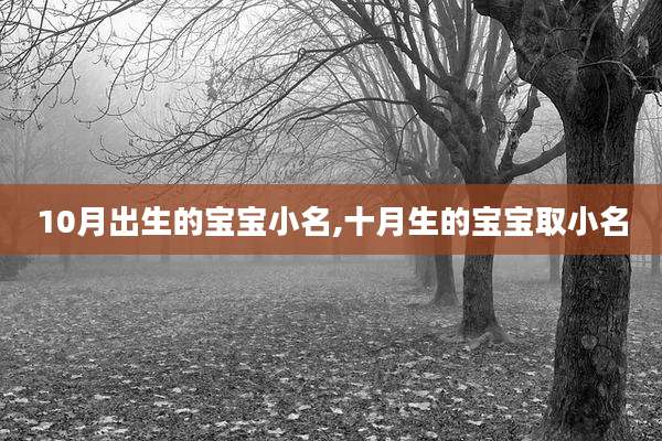 10月出生的宝宝小名,十月生的宝宝取小名