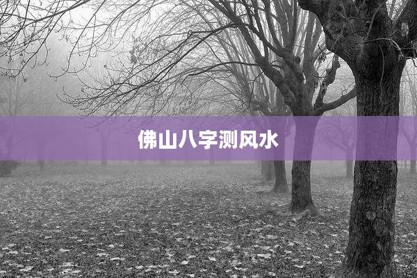 佛山八字测风水