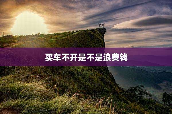 买车不开是不是浪费钱