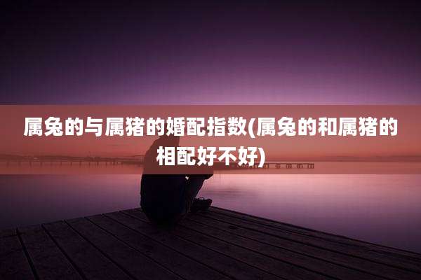属兔的与属猪的婚配指数(属兔的和属猪的相配好不好)