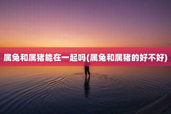 属兔和属猪能在一起吗(属兔和属猪的好不好)