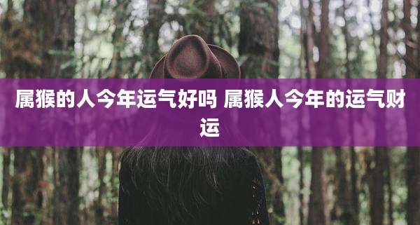 属猴的人今年运气好吗 属猴人今年的运气财运