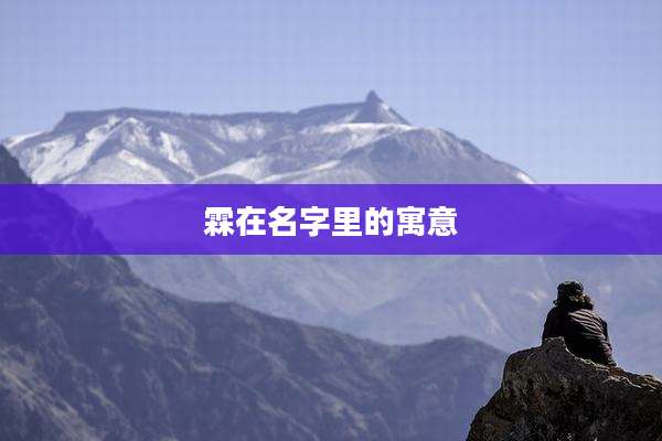 霖在名字里的寓意