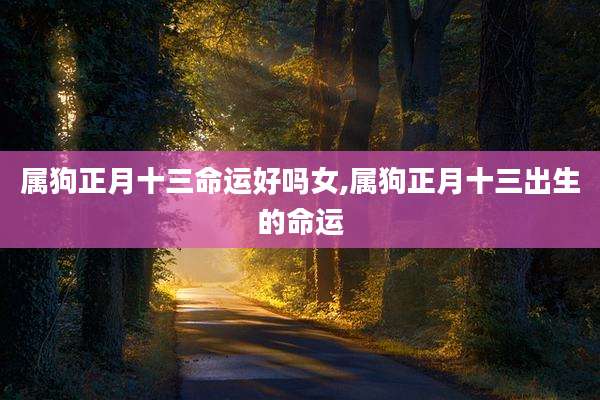 属狗正月十三命运好吗女,属狗正月十三出生的命运