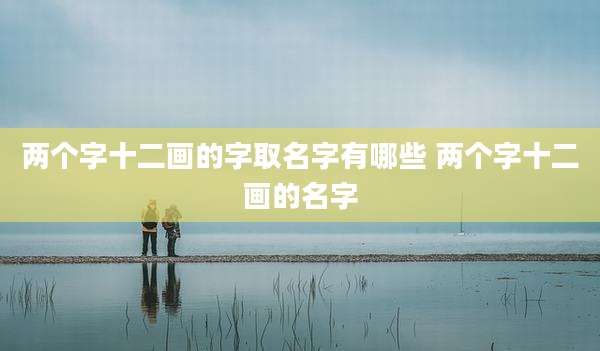 两个字十二画的字取名字有哪些 两个字十二画的名字