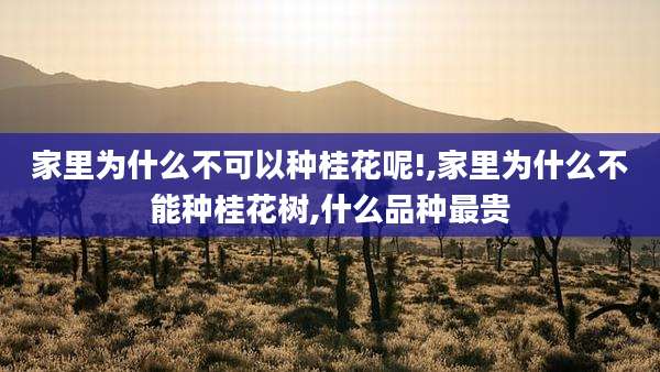 家里为什么不可以种桂花呢!,家里为什么不能种桂花树,什么品种最贵