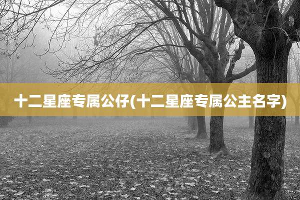 十二星座专属公仔(十二星座专属公主名字)
