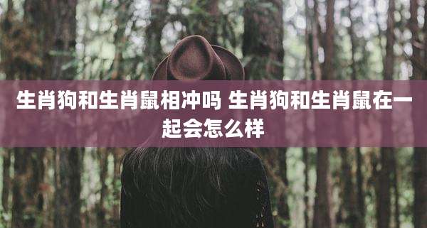 生肖狗和生肖鼠相冲吗 生肖狗和生肖鼠在一起会怎么样