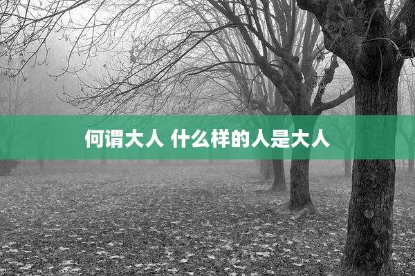 何谓大人 什么样的人是大人