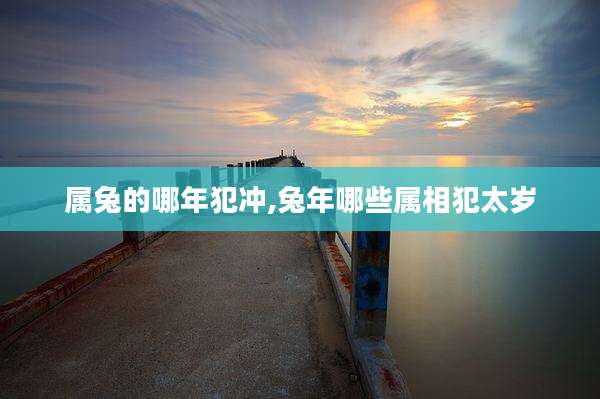 属兔的哪年犯冲,兔年哪些属相犯太岁