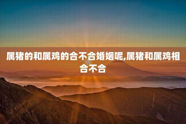 属猪的和属鸡的合不合婚姻呢,属猪和属鸡相合不合