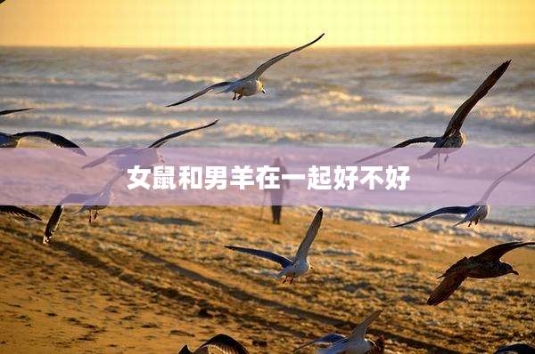 女鼠和男羊在一起好不好
