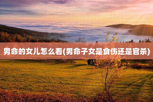 男命的女儿怎么看(男命子女是食伤还是官杀)