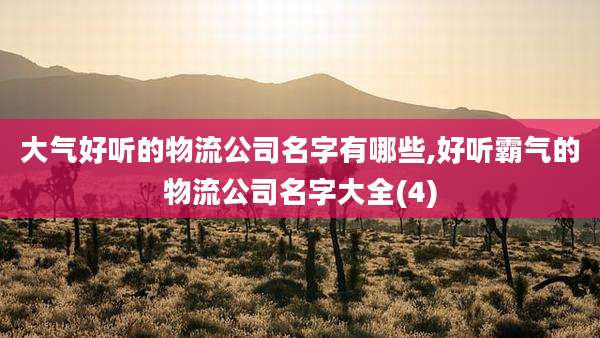 大气好听的物流公司名字有哪些,好听霸气的物流公司名字大全(4)