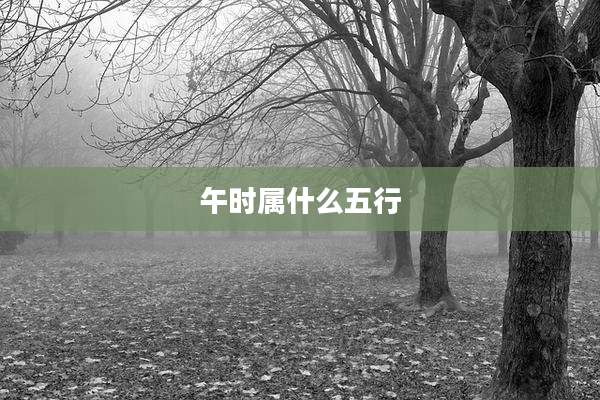 午时属什么五行