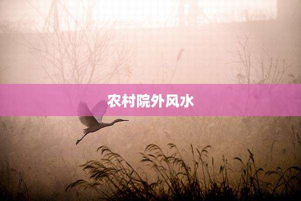 农村院外风水