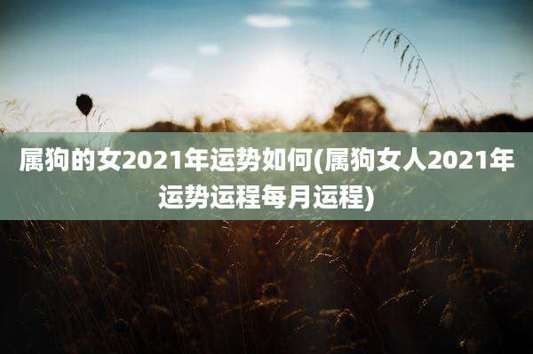 属狗的女2021年运势如何(属狗女人2021年运势运程每月运程)