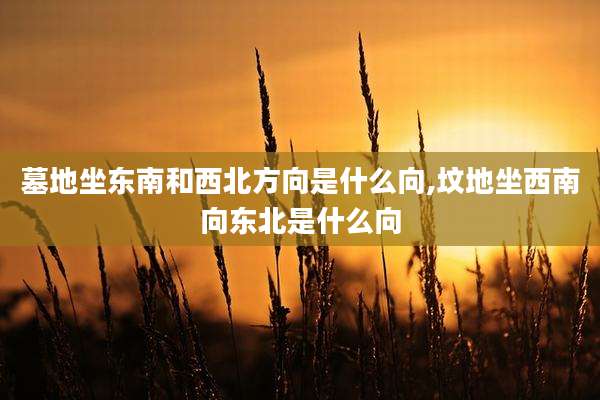 墓地坐东南和西北方向是什么向,坟地坐西南向东北是什么向
