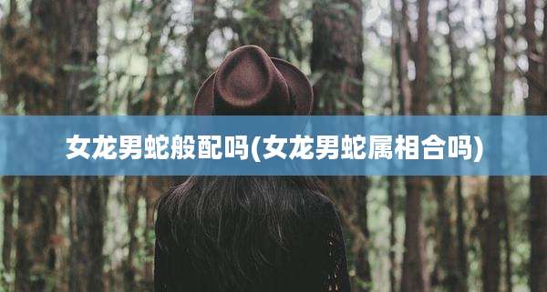 女龙男蛇般配吗(女龙男蛇属相合吗)