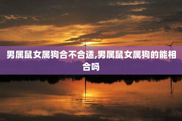 男属鼠女属狗合不合适,男属鼠女属狗的能相合吗