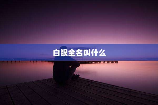 白银全名叫什么