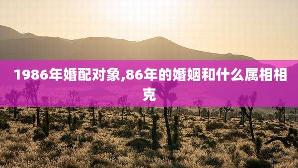 1986年婚配对象,86年的婚姻和什么属相相克