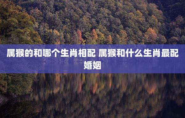 属猴的和哪个生肖相配 属猴和什么生肖最配婚姻