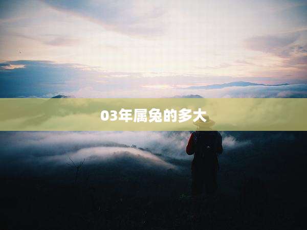 03年属兔的多大