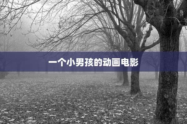 一个小男孩的动画电影