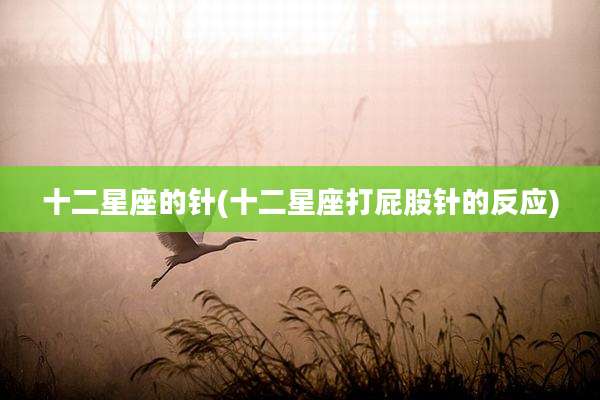 十二星座的针(十二星座打屁股针的反应)