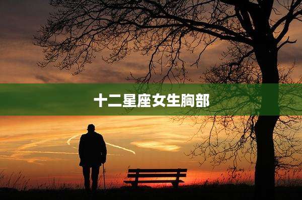 十二星座女生胸部