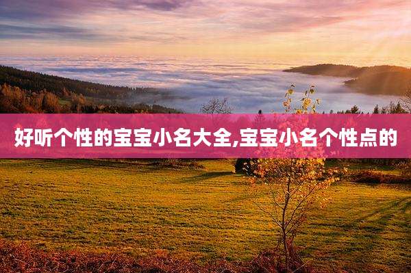 好听个性的宝宝小名大全,宝宝小名个性点的