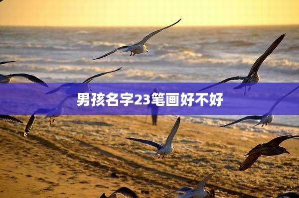 男孩名字23笔画好不好