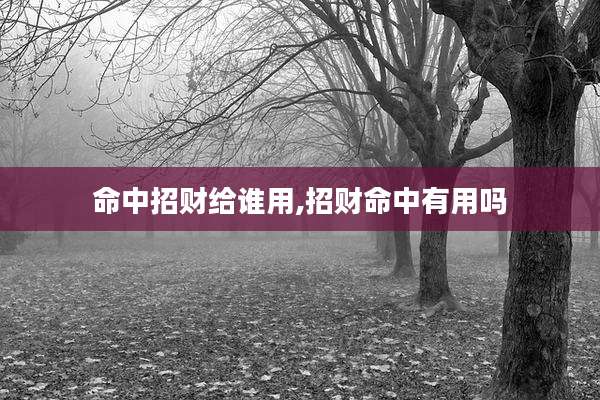 命中招财给谁用,招财命中有用吗