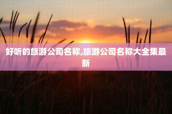 好听的旅游公司名称,旅游公司名称大全集最新