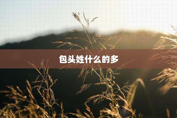 包头姓什么的多