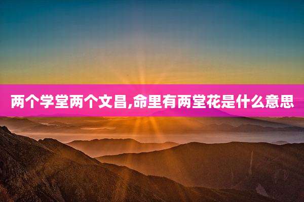 两个学堂两个文昌,命里有两堂花是什么意思