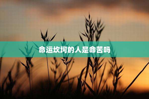 命运坎坷的人是命苦吗