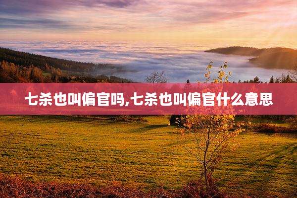 七杀也叫偏官吗,七杀也叫偏官什么意思