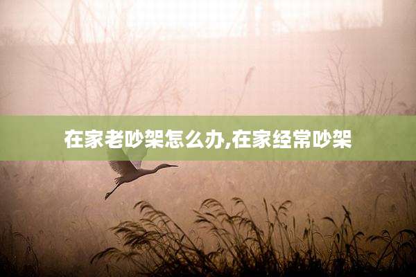 在家老吵架怎么办,在家经常吵架