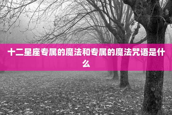 十二星座专属的魔法和专属的魔法咒语是什么