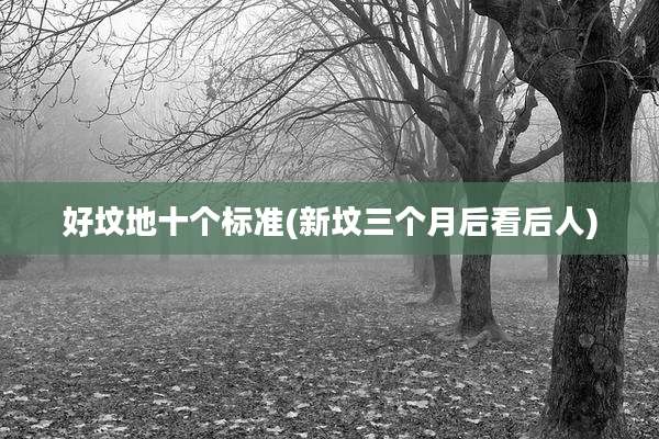 好坟地十个标准(新坟三个月后看后人)