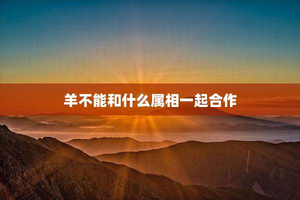羊不能和什么属相一起合作