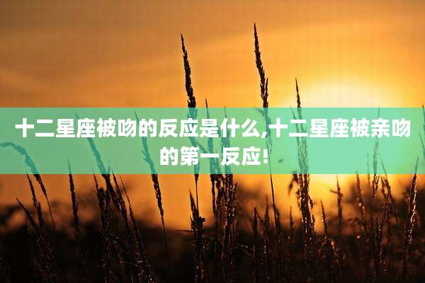 十二星座被吻的反应是什么,十二星座被亲吻的第一反应!
