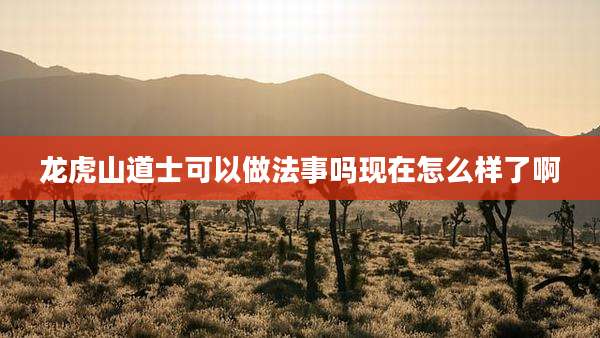 龙虎山道士可以做法事吗现在怎么样了啊